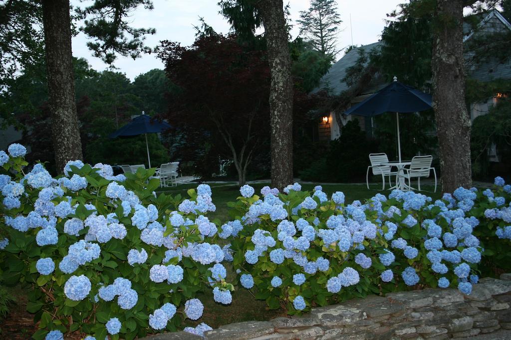 Pleasant Bay Village Resort 채텀 외부 사진